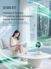 2025 Quiet Desktop Fan with Air Purifier