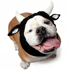 Black cow style comfortable warm windproof Halloween knitted pet dog hat American bison dress pet dog earmuffs Christmas warm accessories