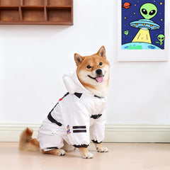 Loopsona Astronaut Pet Costume - Funny Halloween Dog Spacesuit Outfit, Waterproof & Warm