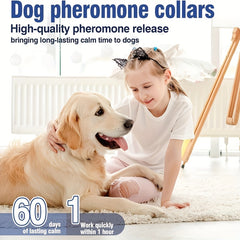 4-Pack Dog Calming Pheromone Collar Set | Anxiety & Stress Relief for Separation & Bad Behavior – Adjustable 60-Day Lasting Fit for Small, Medium & Large Breeds