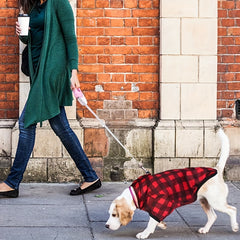 Christmas Dog Hoodie - Cute Knit Sweater Hoodie for Medium to Large Puppies, Party Outfit with Socks