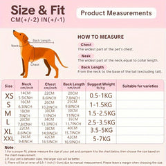 Summer Sleeveless Cat Vest with Hat Set | Air-Conditioned Shirt for Sphynx & Devon Rex – Bold 7-Letter Print for Small to Medium Cats