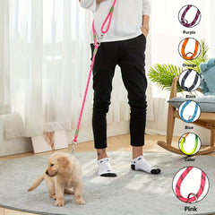 Adjustable Hands-Free Dog Leash | Reflective Elastic Cord for Hiking, Walking & Running – Durable Polyester in Orange, Pink, Black, Blue, Purple