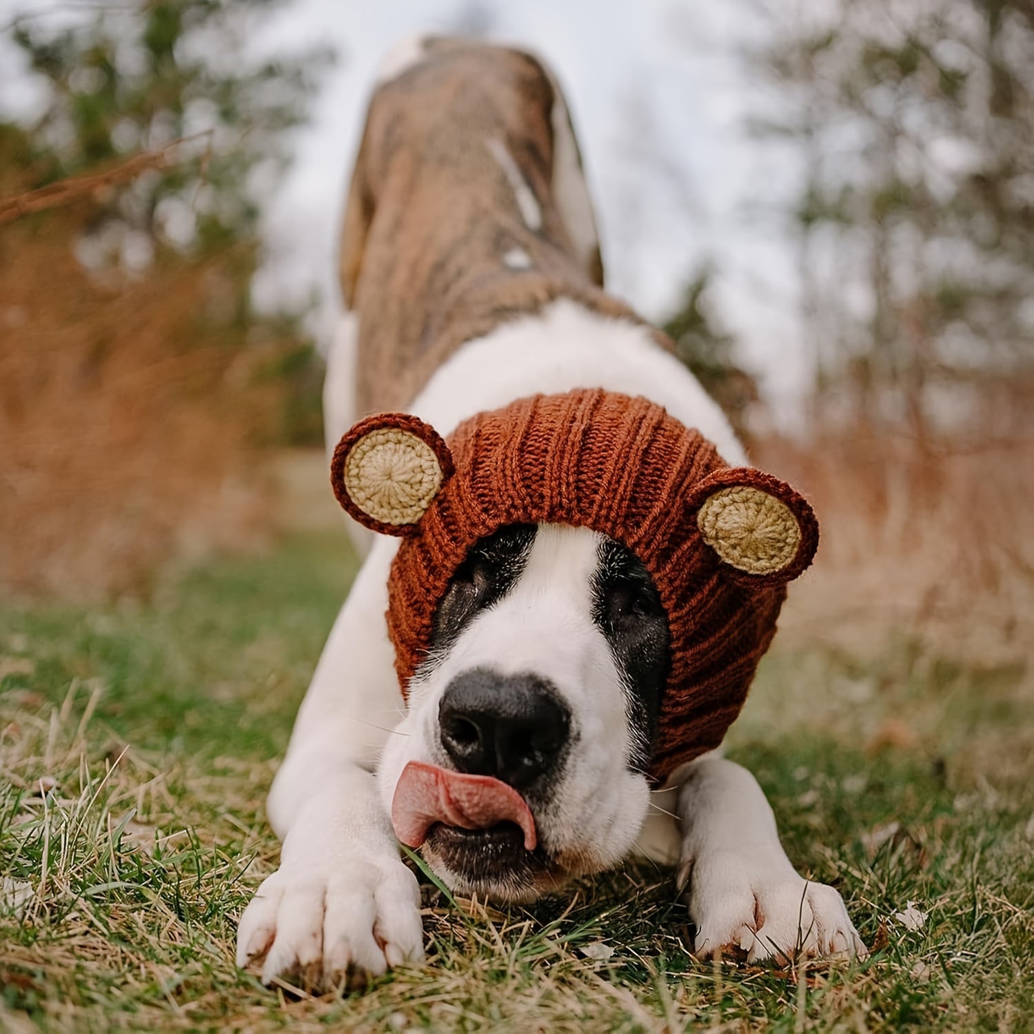 Dinosaur, fox, brown bear cartoon knitted pet hat. Windproof and warm in all seasons. Soft and elastic. Hand wash only. Suitable for small, medium and large dogs and cats. Durable pet costume for Christmas and Halloween.