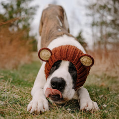 Dinosaur, fox, brown bear cartoon knitted pet hat. Windproof and warm in all seasons. Soft and elastic. Hand wash only. Suitable for small, medium and large dogs and cats. Durable pet costume for Christmas and Halloween.