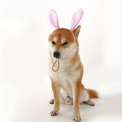 Loopsona Easter Bunny Ears Pet Headband - Cute Cat & Dog Costume Accessory for Easter Party
