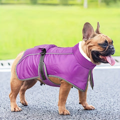 New Autumn Winter Windproof Fleece High-Collar Dog Jacket | Stylish Warm Outerwear for Small & Medium Dogs