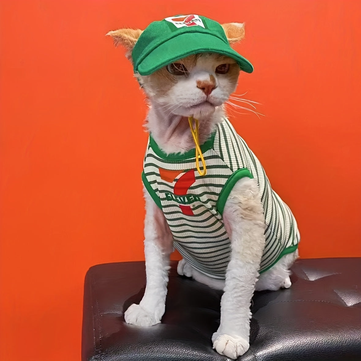 Summer Sleeveless Cat Vest with Hat Set | Air-Conditioned Shirt for Sphynx & Devon Rex – Bold 7-Letter Print for Small to Medium Cats