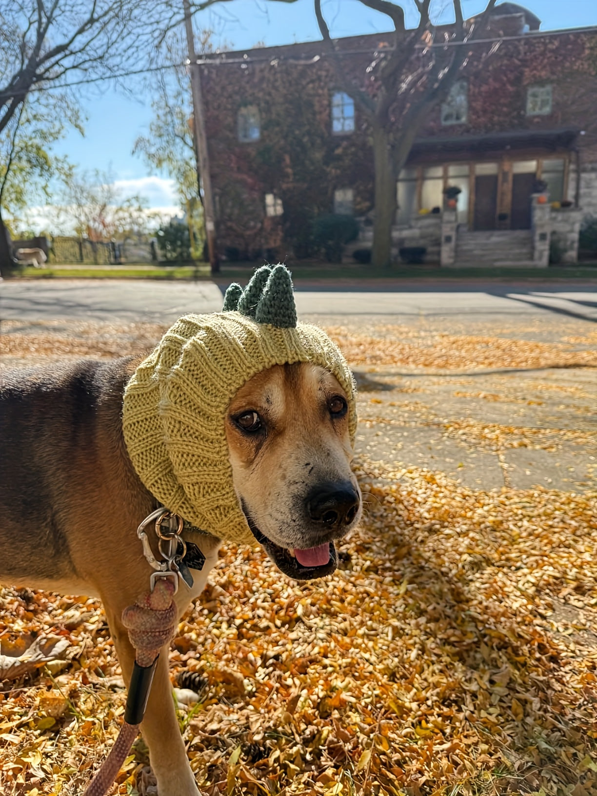 Dinosaur, fox, brown bear cartoon knitted pet hat. Windproof and warm in all seasons. Soft and elastic. Hand wash only. Suitable for small, medium and large dogs and cats. Durable pet costume for Christmas and Halloween.