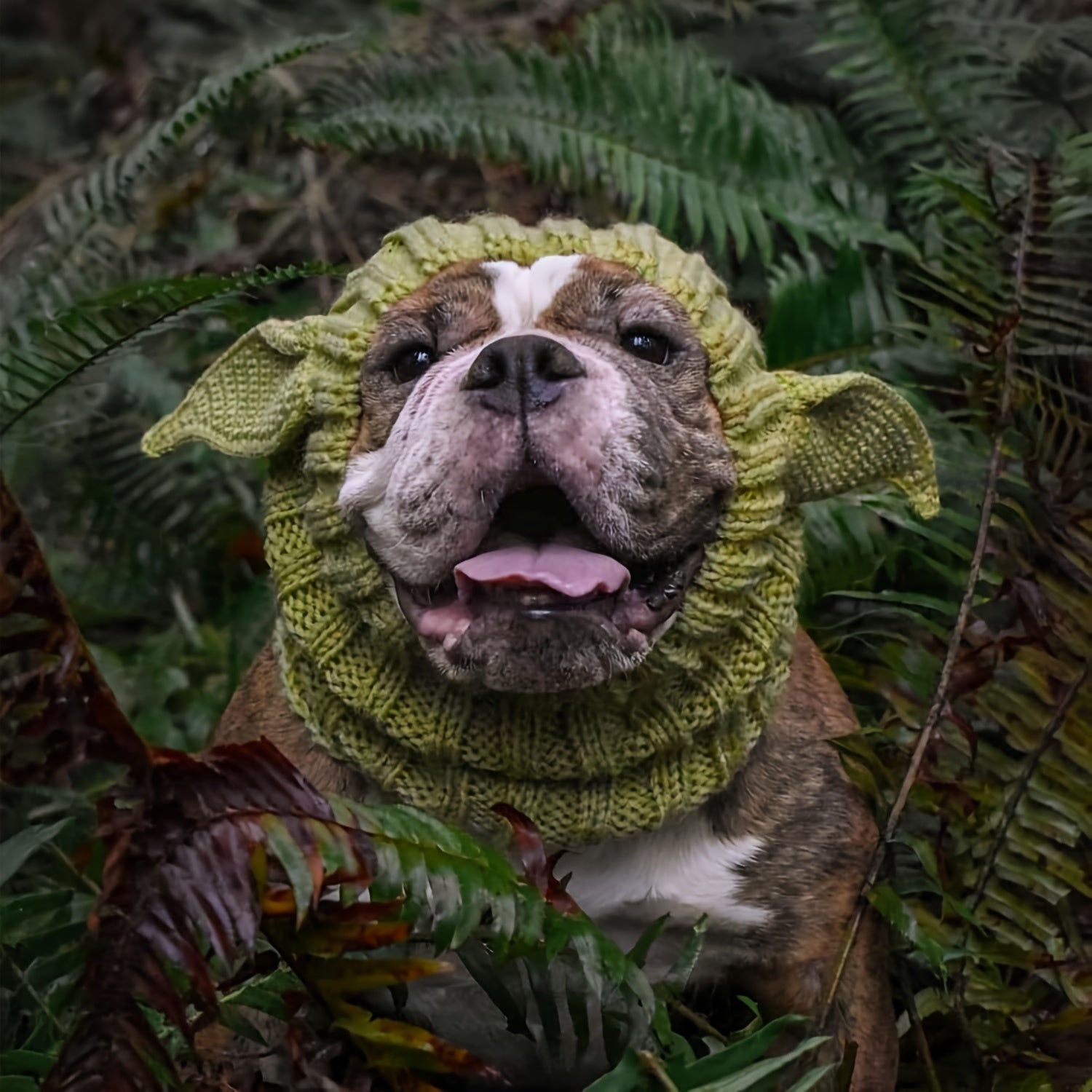 Green Goblin Pet Hat - Windproof Knit Earmuffs for Dogs, Halloween & Christmas All-Season Costume