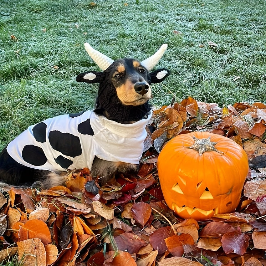 Black cow style comfortable warm windproof Halloween knitted pet dog hat American bison dress pet dog earmuffs Christmas warm accessories
