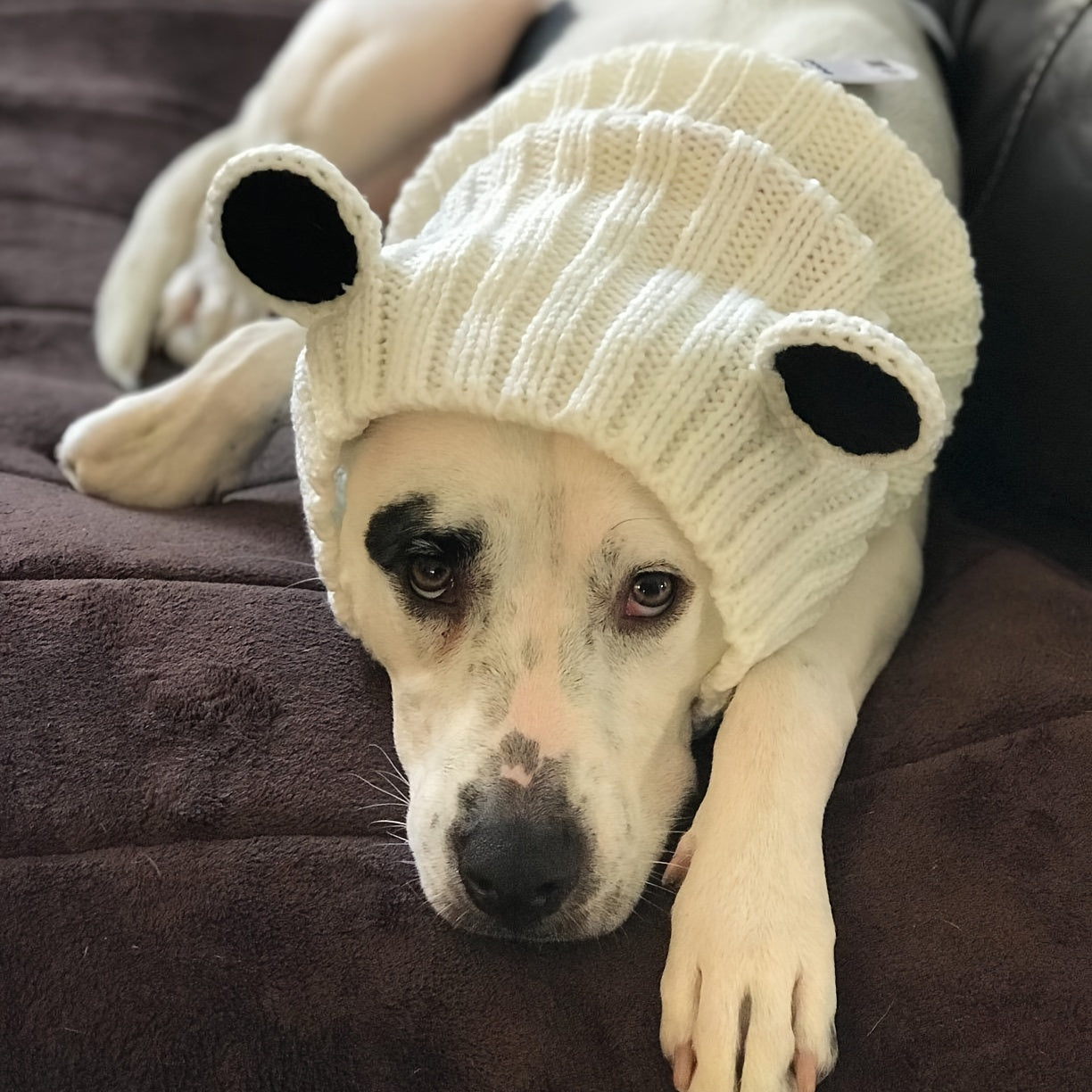 Loopsona Panda Pet Hat - Cozy Winter Knit Hat for Dogs, Halloween, Christmas & New Year