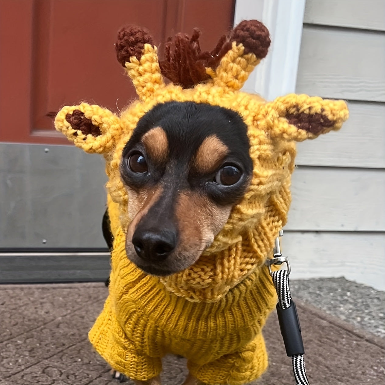 Loopsona Giraffe Pet Ear Warmer - Cozy Knit Hat for Cats & Dogs, Spring, New Year & Easter Gift