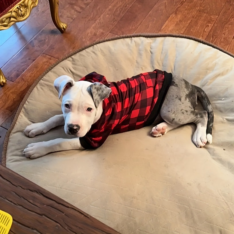 Christmas Dog Hoodie - Cute Knit Sweater Hoodie for Medium to Large Puppies, Party Outfit with Socks