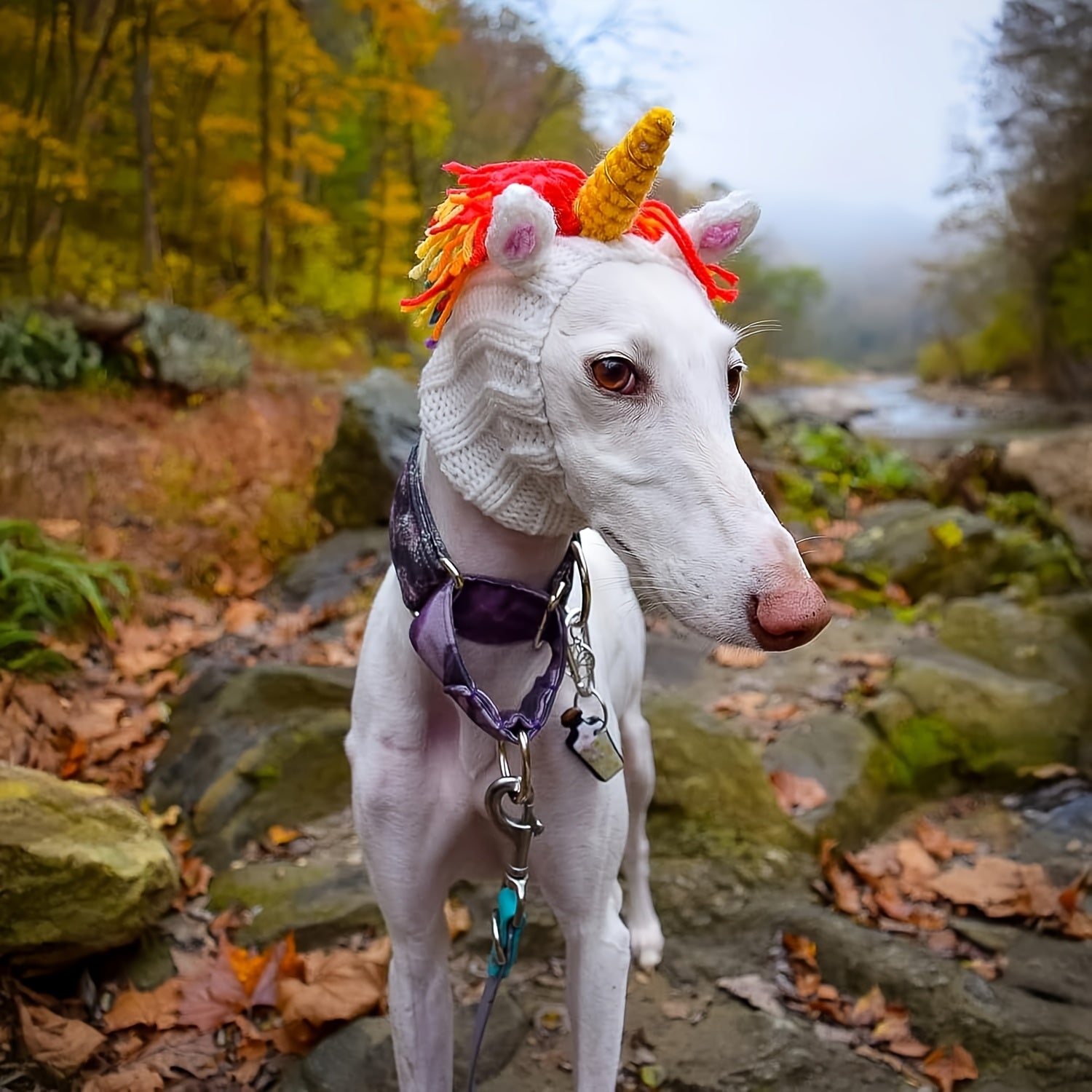 Unicorn Red Devil Monster Pet Hat - Warm Windproof Halloween Fantasy Knit Hat for Cats & Dogs