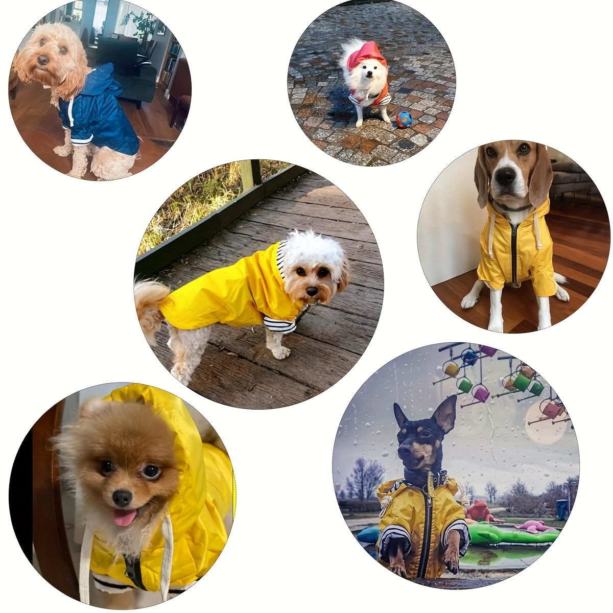 Stylish Premium Blue Dog Raincoat | Waterproof Zipper Jacket with Reflective Buttons, Adjustable Drawstring & Pocket – Striped Pattern for Small to Large Breeds