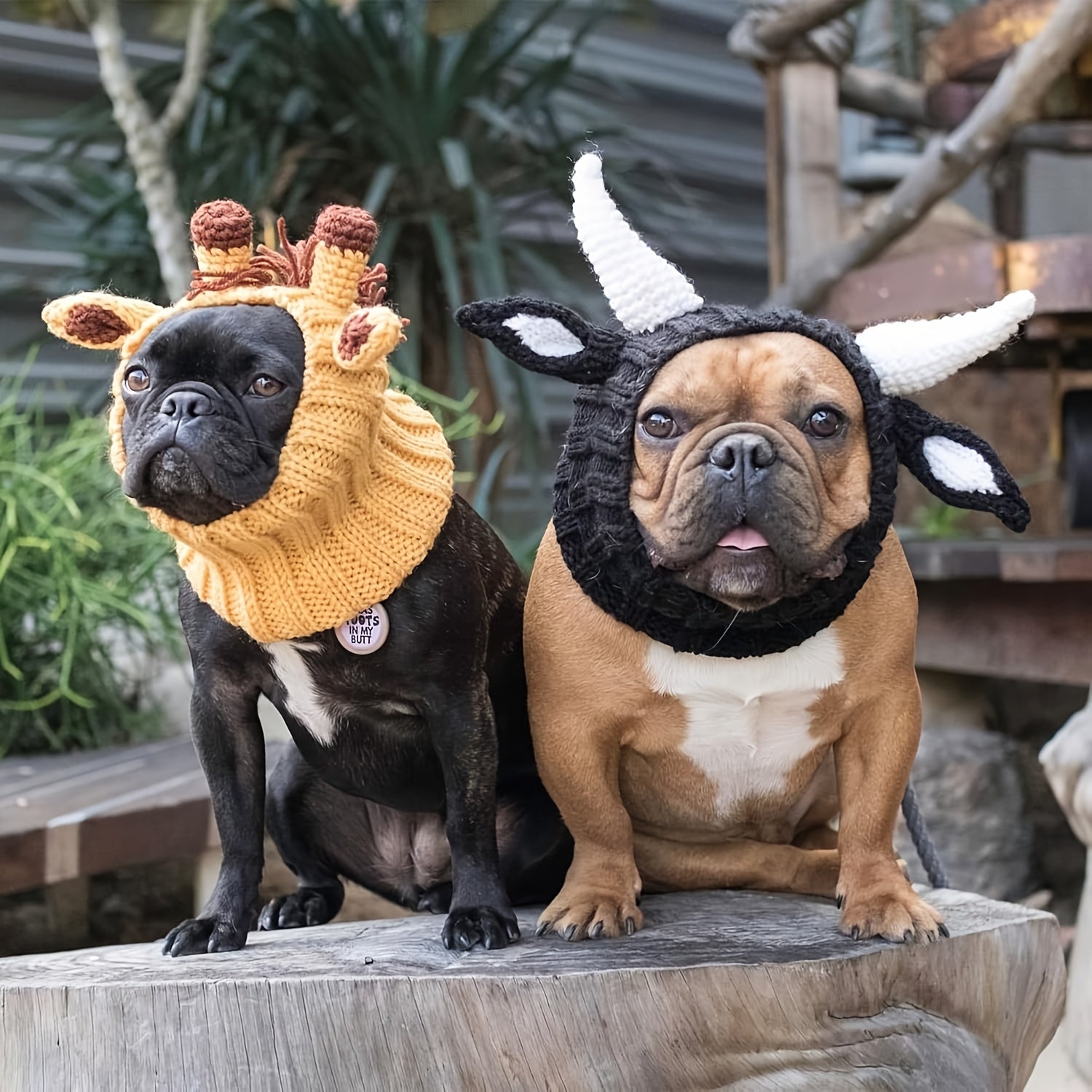 Black cow style comfortable warm windproof Halloween knitted pet dog hat American bison dress pet dog earmuffs Christmas warm accessories