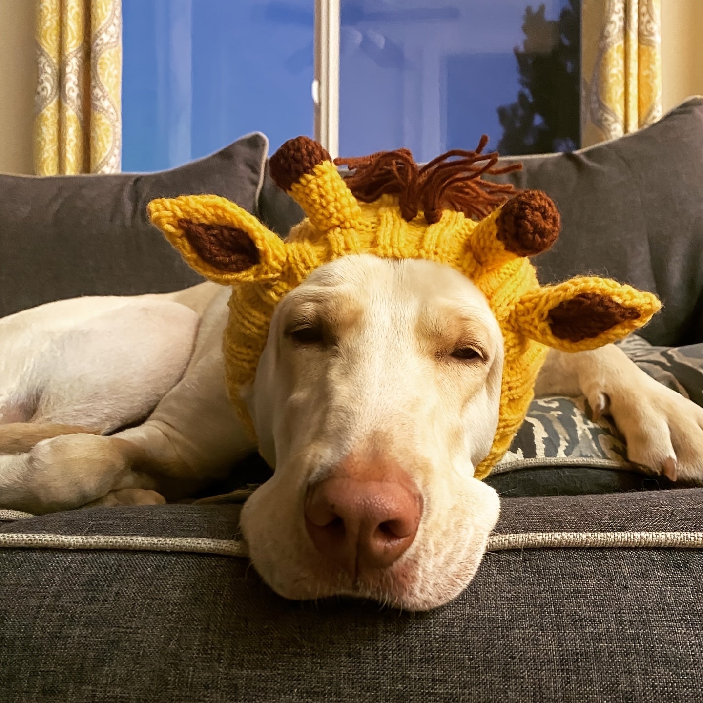 Loopsona Giraffe Pet Ear Warmer - Cozy Knit Hat for Cats & Dogs, Spring, New Year & Easter Gift