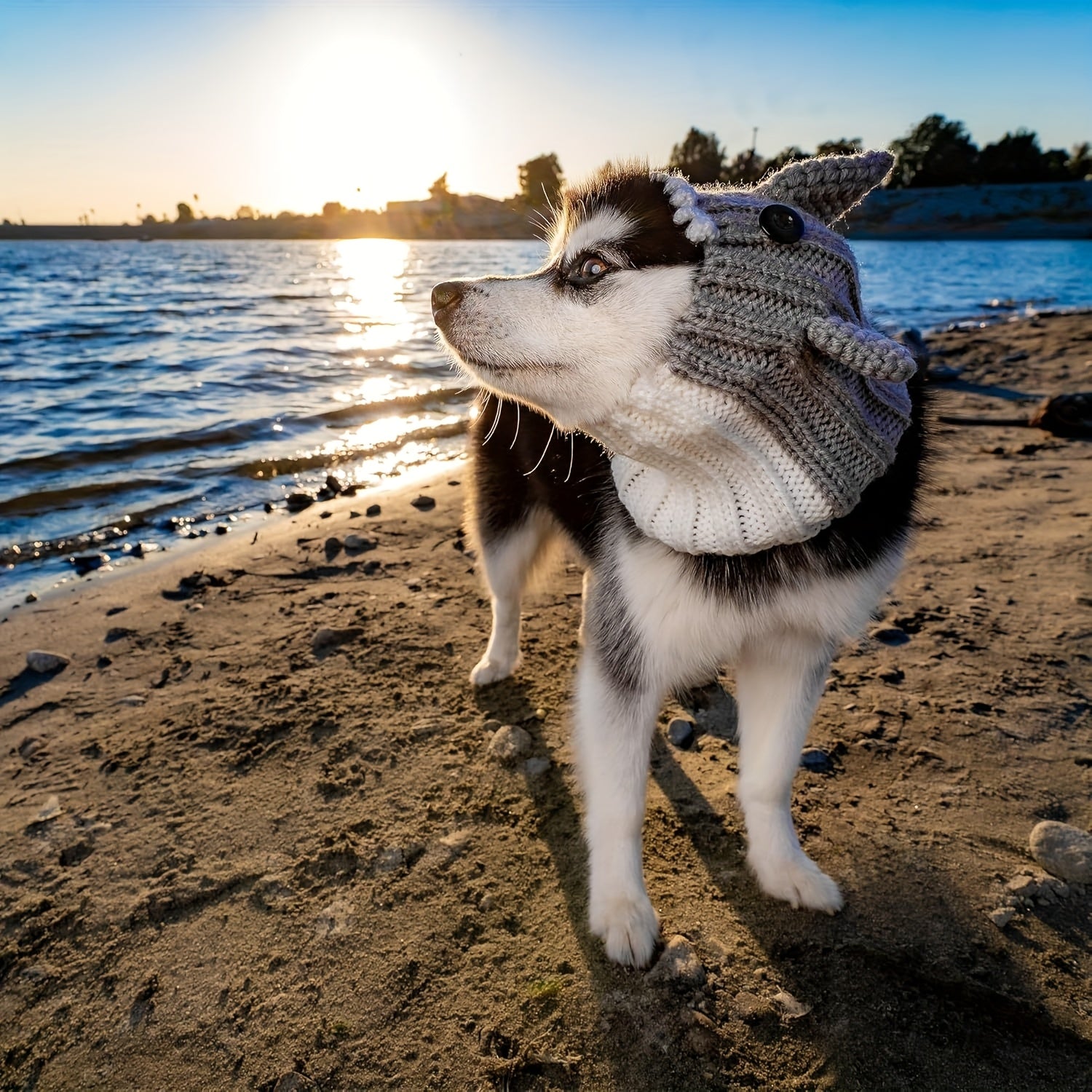 Shark Knit Pet Hat - Cute Shark Style Windproof Hat for Cats & Dogs, Christmas New Year Holiday Costume