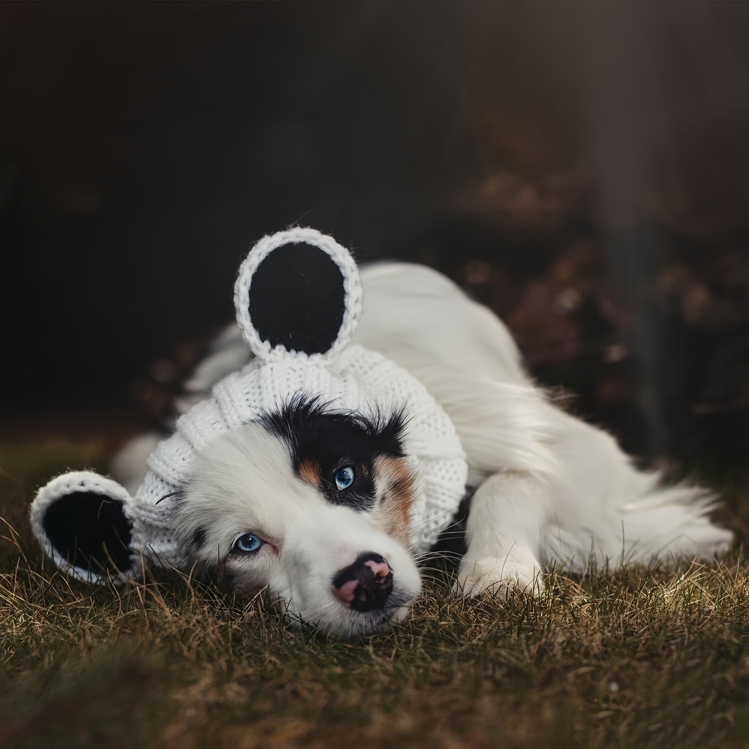 Loopsona Panda Pet Hat - Cozy Winter Knit Hat for Dogs, Halloween, Christmas & New Year