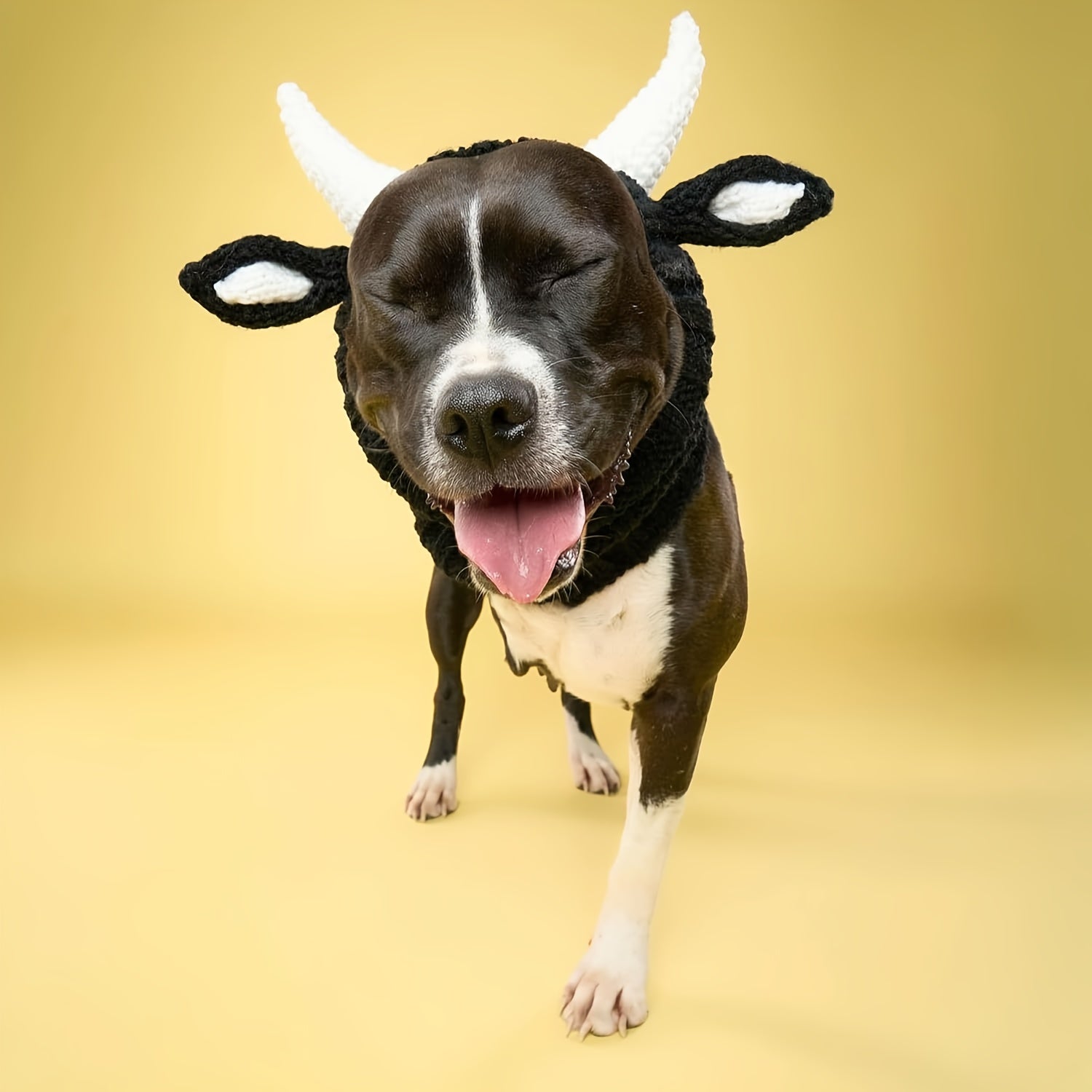 Black cow style comfortable warm windproof Halloween knitted pet dog hat American bison dress pet dog earmuffs Christmas warm accessories