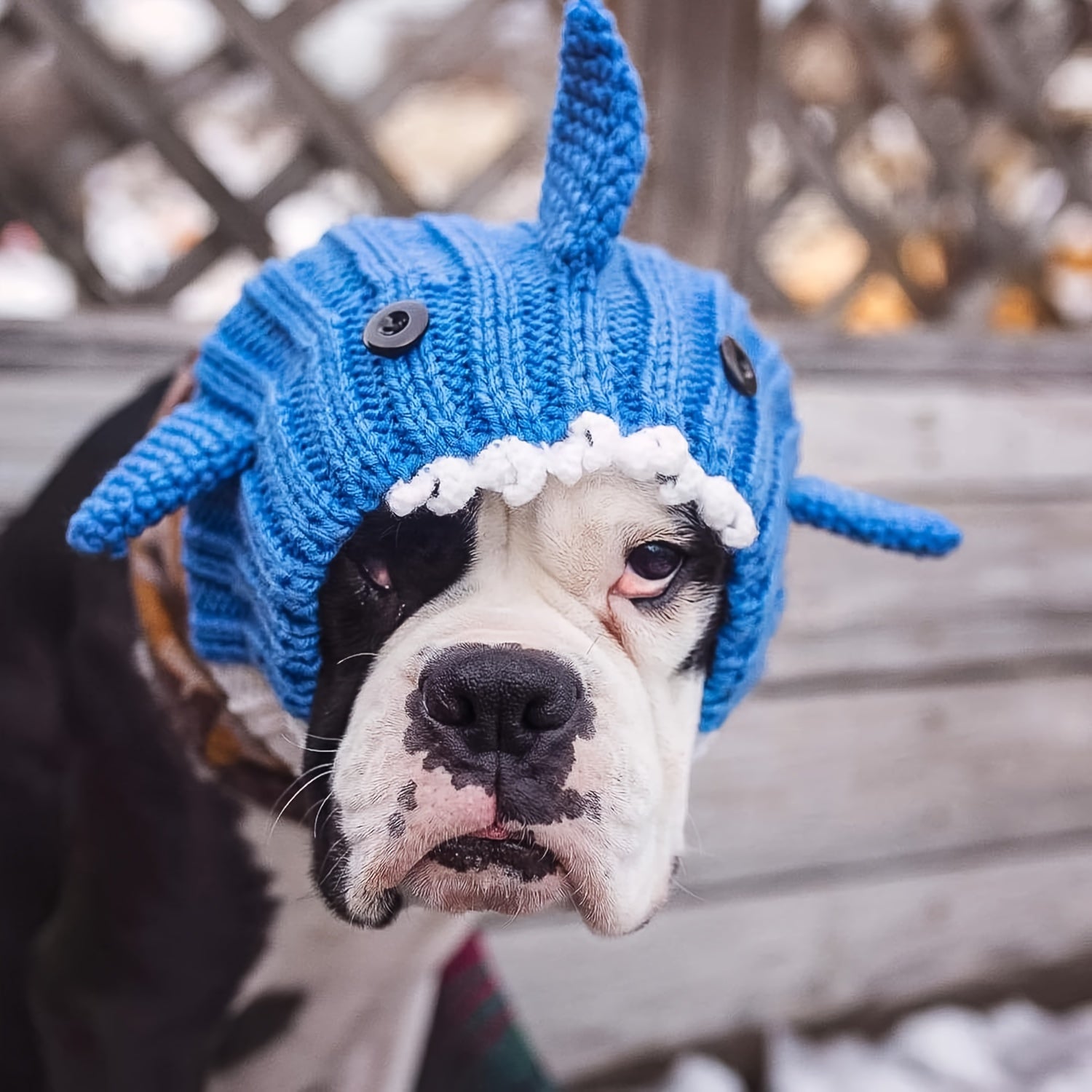 Shark Knit Pet Hat - Cute Shark Style Windproof Hat for Cats & Dogs, Christmas New Year Holiday Costume