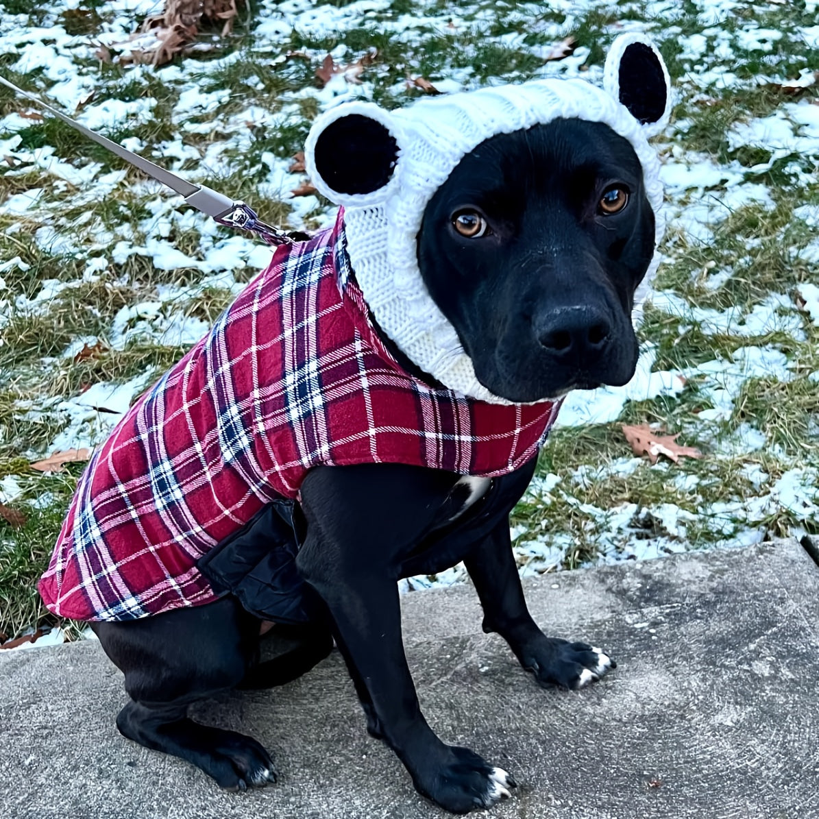 Loopsona Panda Pet Hat - Cozy Winter Knit Hat for Dogs, Halloween, Christmas & New Year