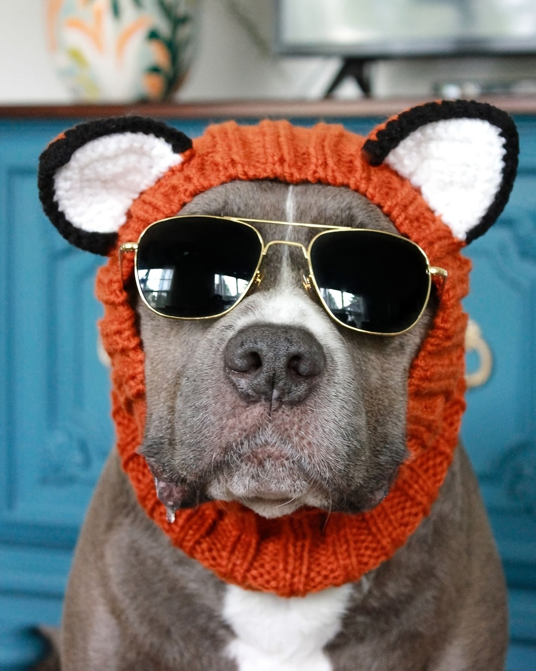 Dinosaur, fox, brown bear cartoon knitted pet hat. Windproof and warm in all seasons. Soft and elastic. Hand wash only. Suitable for small, medium and large dogs and cats. Durable pet costume for Christmas and Halloween.