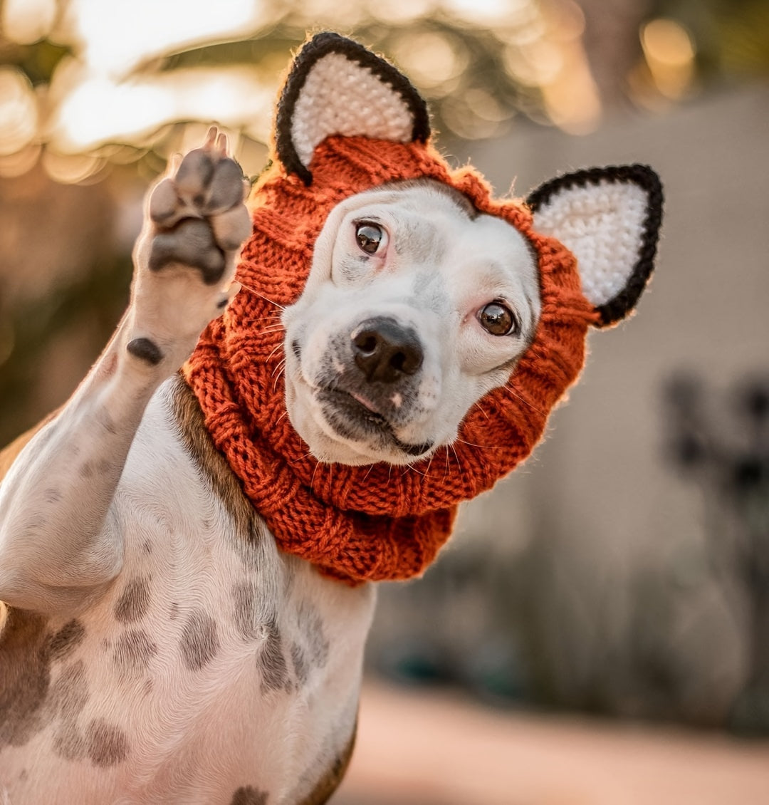 Dinosaur, fox, brown bear cartoon knitted pet hat. Windproof and warm in all seasons. Soft and elastic. Hand wash only. Suitable for small, medium and large dogs and cats. Durable pet costume for Christmas and Halloween.