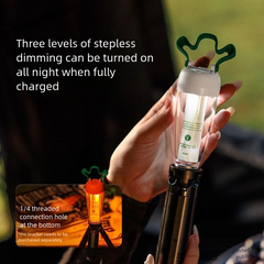 Carrot Atmosphere Hanging Lamp