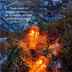Carrot Atmosphere Hanging Lamp